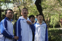 IMG 4768