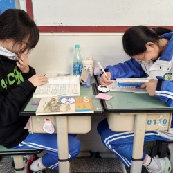 月考复习