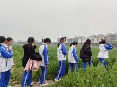 3713a8be5ad845cf1677e3f5b2dc973b